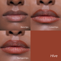 Hive